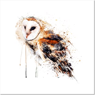 Barn Owl Watercolor Painting Posters and Art